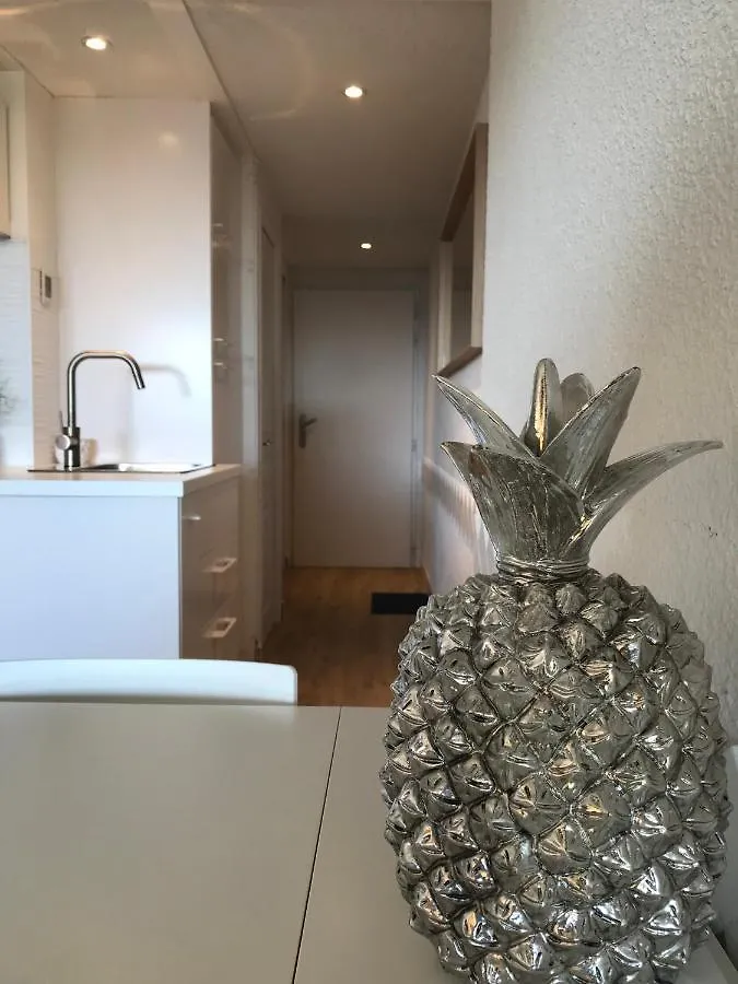 בורם-לה-מימוזה Residence Les Terrasses Du Mirage - Duplex Vue Mer צרפת